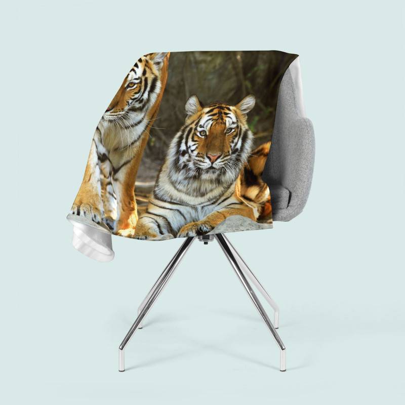 74,00 € 2 fleece blankets - with two tigers