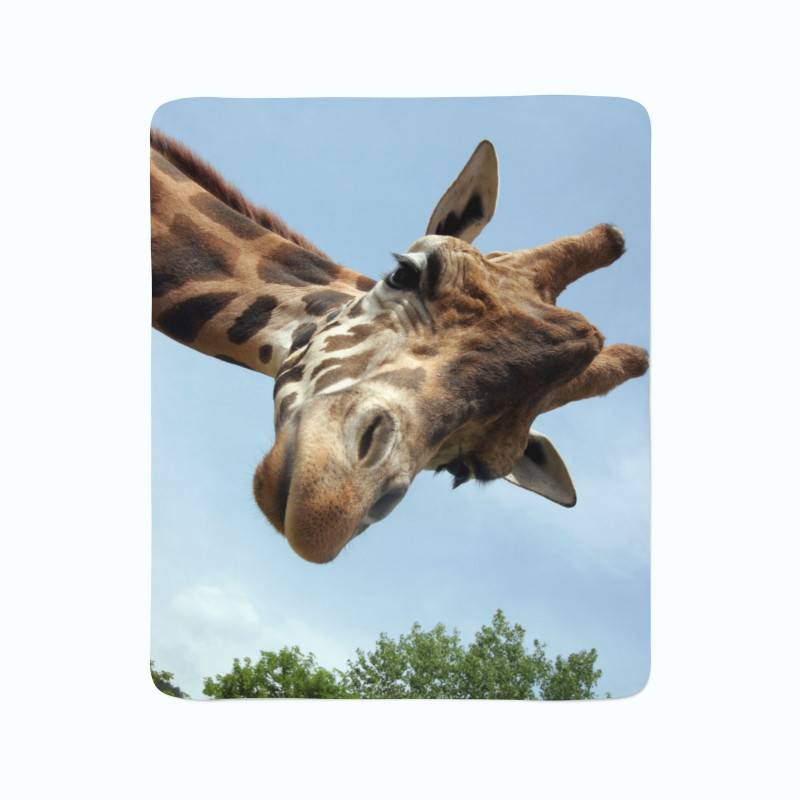 74,00 € 2 fleecedekens - met giraffe