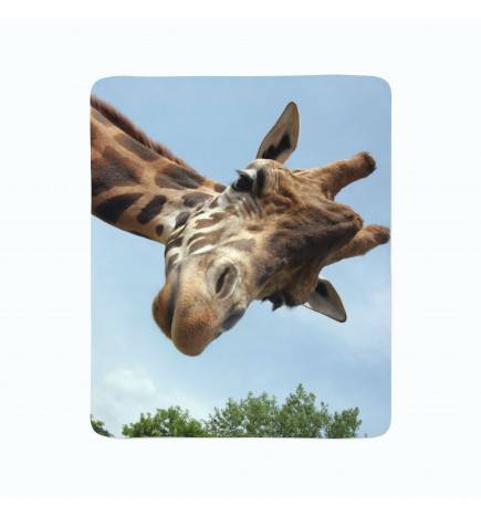 2 fleece blankets - with a giraffe