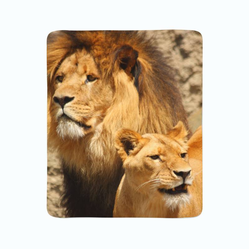 74,00 €2 couvertures polaires - avec un lion et une lionne