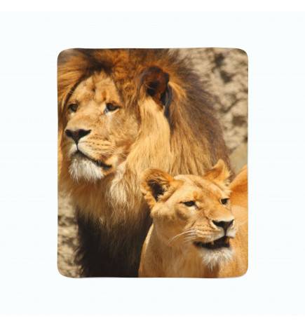 2 cobertores de lã - com um leão e uma leoa
