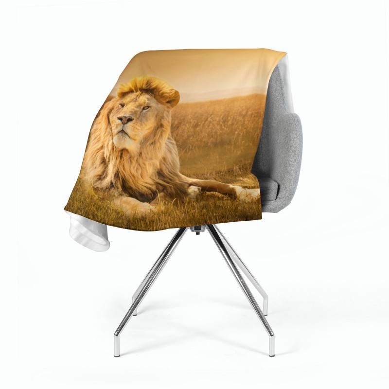 74,00 €2 couvertures polaires - avec un lion