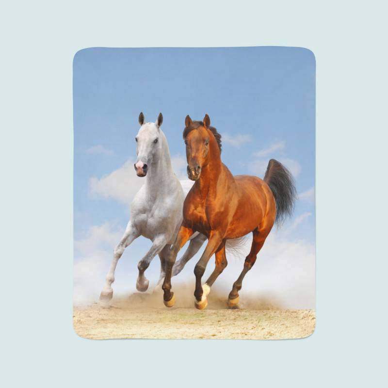 74,00 € 2 fleece blankets - with two horses