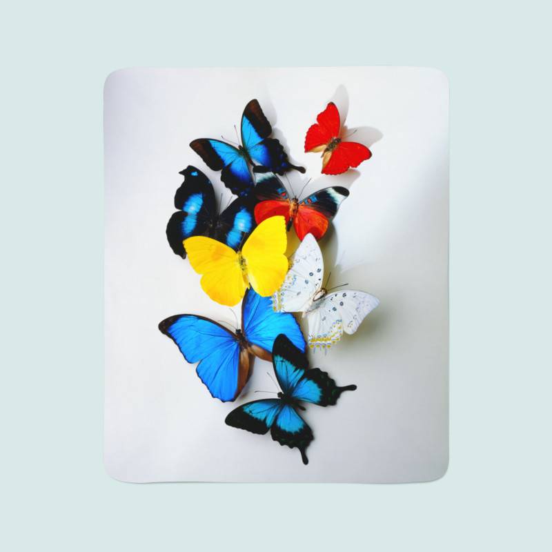 74,00 € 2 fleecedekens - met kleurrijke vlinders
