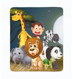 2 vilnos antklodės - vaikams - su gyvūnais