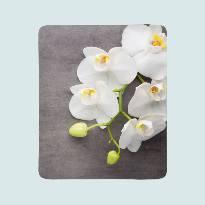 74,00 € 2 fleecedekens - met witte bloemen