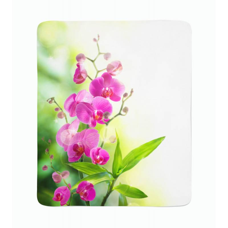 74,00 €2 couvertures polaires - avec feuilles et fleurs