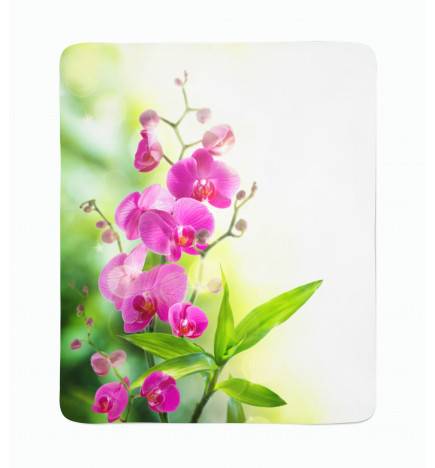 74,00 € 2 fleece blankets - with leaves and flowers