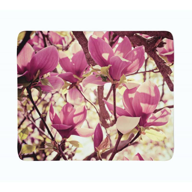 74,00 € 2 vilnos antklodės - su magnolijomis
