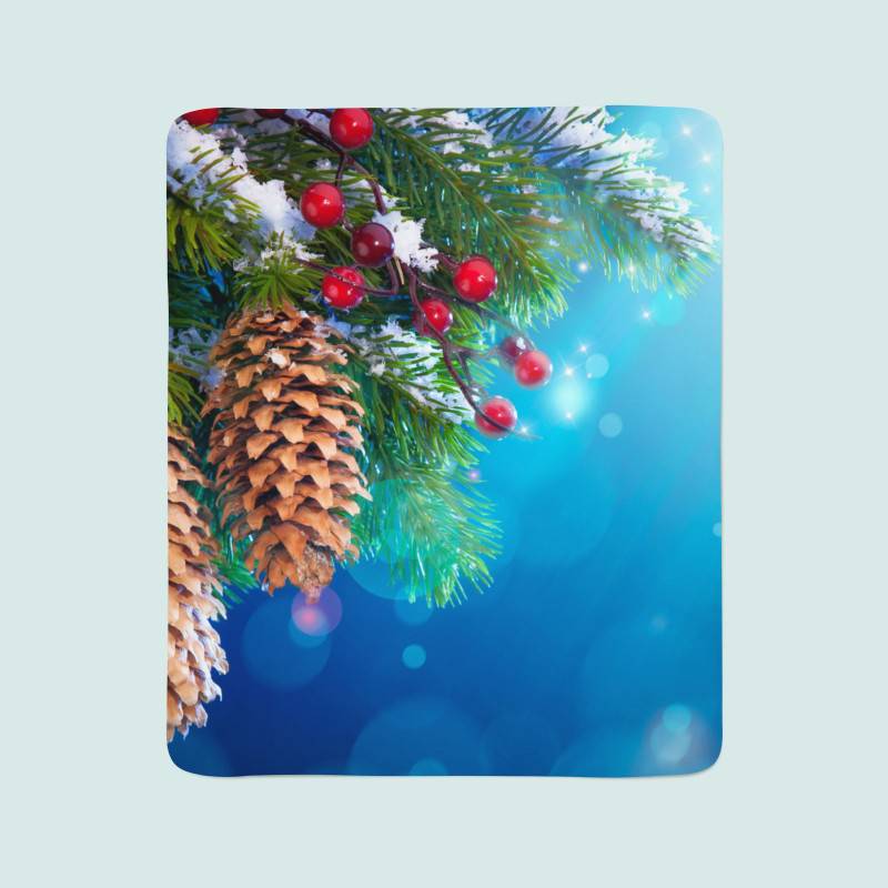 74,00 € 2 fleece blankets - Christmas with pine cones