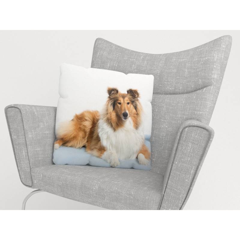 15,00 €Capas de almofada - com collie - HOMEFURNISH 15,00 €Capas de almofada - com collie - HOMEFURNISH