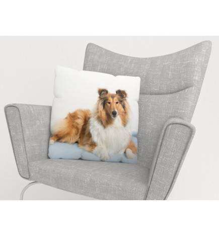 15,00 € Cushion covers - with a collie - HOMEFURNISH