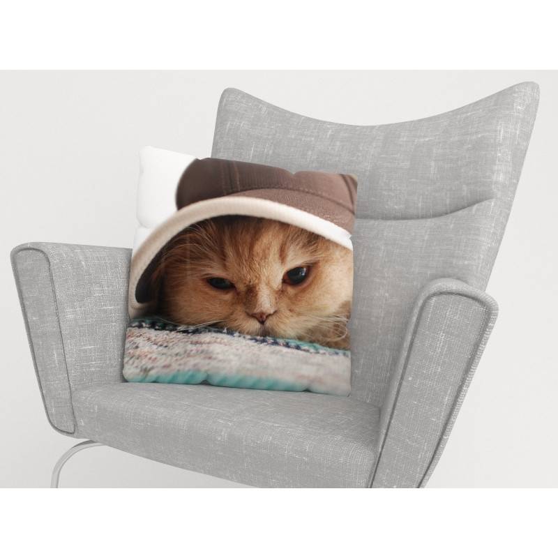 15,00 €Housses de coussin - avec le célèbre chat au chapeau