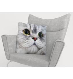 Cushion covers - with a very sweet cat