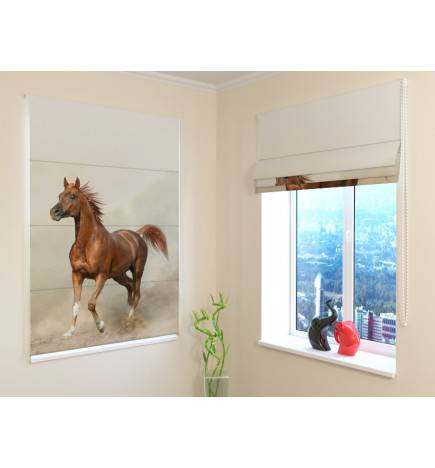 Roman blind - with a trotting horse - fireproof