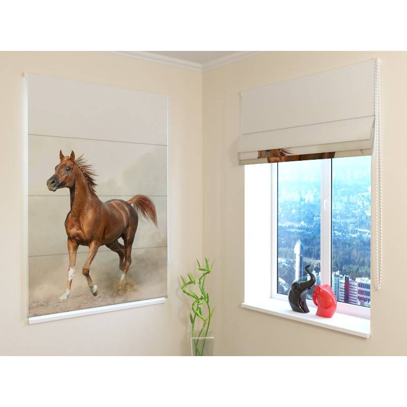 68,50 € Roman blind - with a trotting horse - BLACKOUT