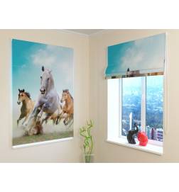 Roman blind - with running horses - blackout