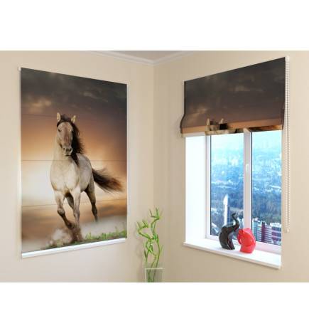 Roman blind - with a horse -blackout