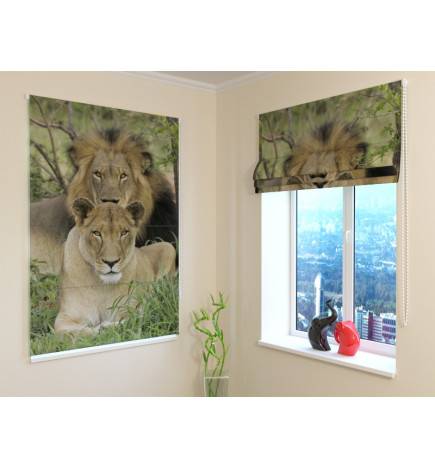 Roman blind - with a pair of lions - FIREPROOF