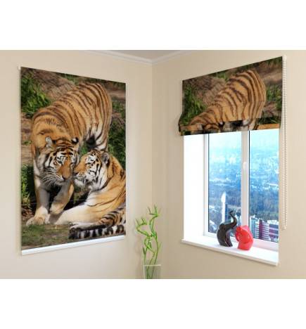 Roman blind - with 2 tigers in love - FIREPROOF