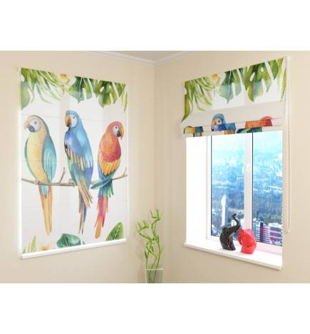 Roman blind - with colorful parrots