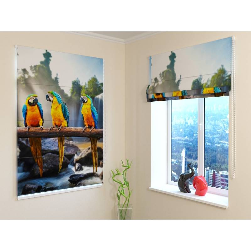 92,99 € Roman blind - with 3 parrots - FIREPROOF