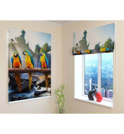 Vouwgordijn - met 3 papegaaien - BRANDWEREND