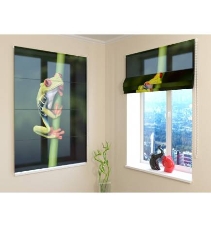 Roman blind - with an acrobatic frog