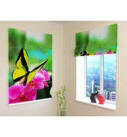 Roman blind with a colored butterfly - FIREPROOF