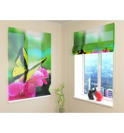 Roman blind with a colorful butterfly