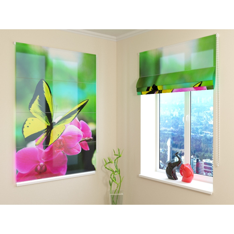 68,00 €Tenda a pacchetto con una farfalla colorata