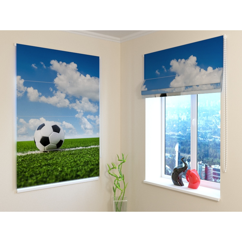 68,50 € Roman blind - with the ball on the lawn - BLACKOUT