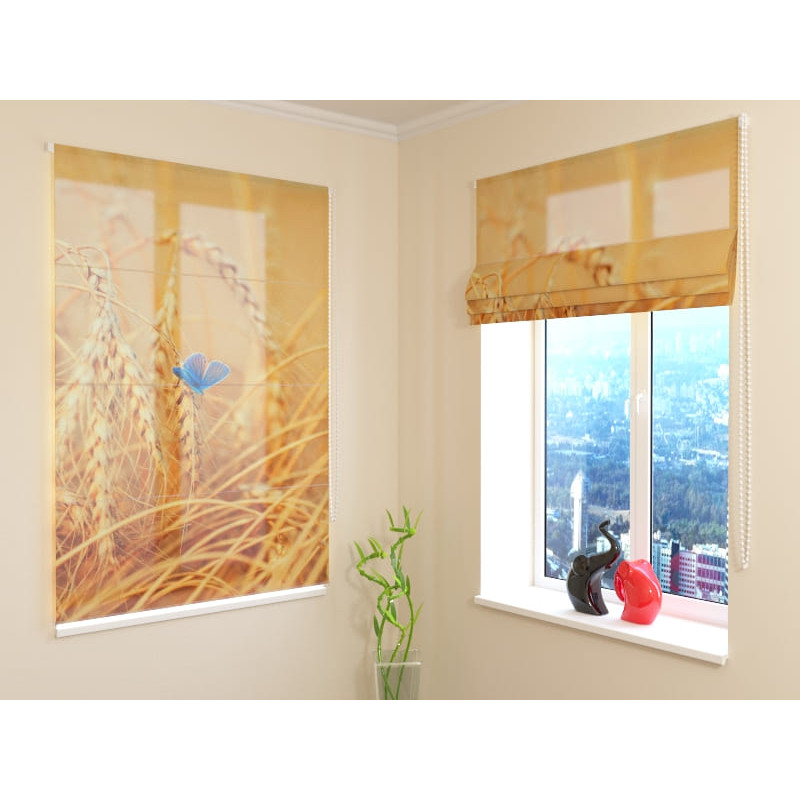 68,00 € Roomalainen sokea - perhosia kentällä