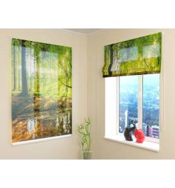 Roman blind - with the pond in the woods