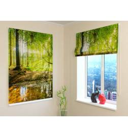 Roman blind - with the pond in the woods - BLACKOUT