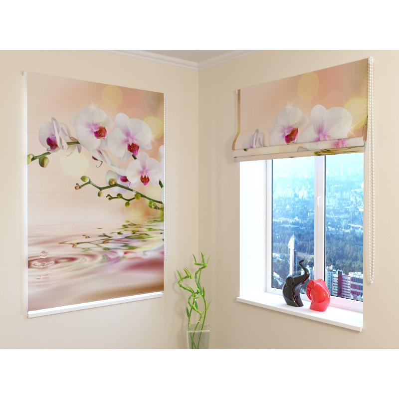 68,50 € Romanetė - su ežeru ir orchidėjomis - DARKENING