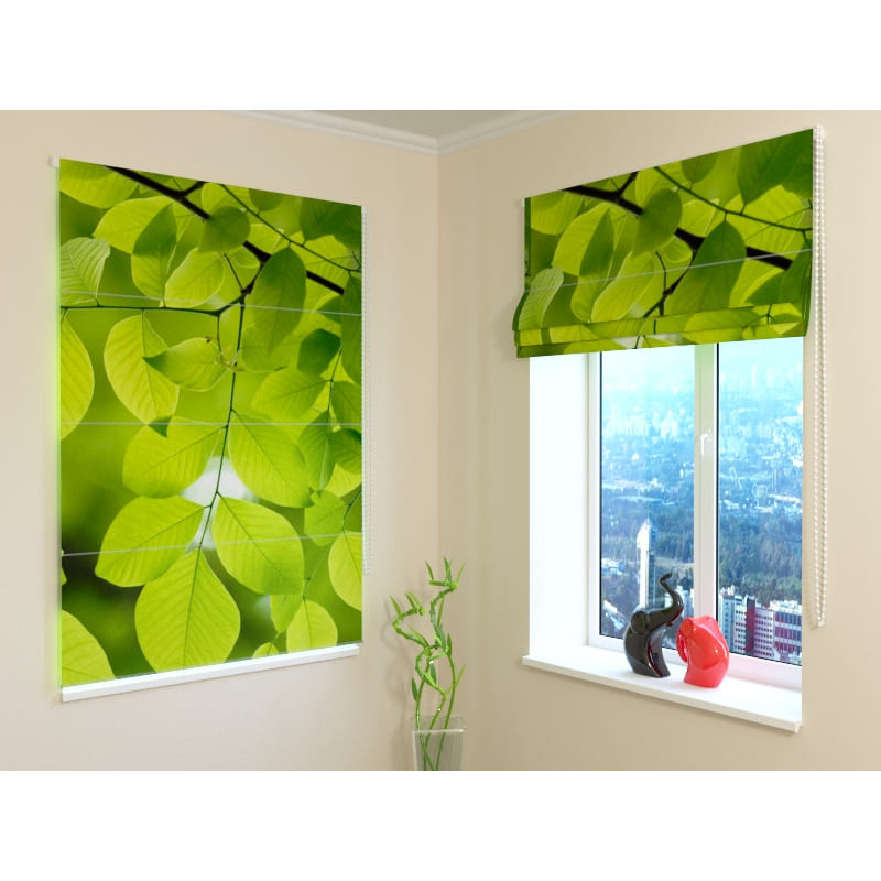 68,50 € Roman blind - with green leaves - OSCURANTE