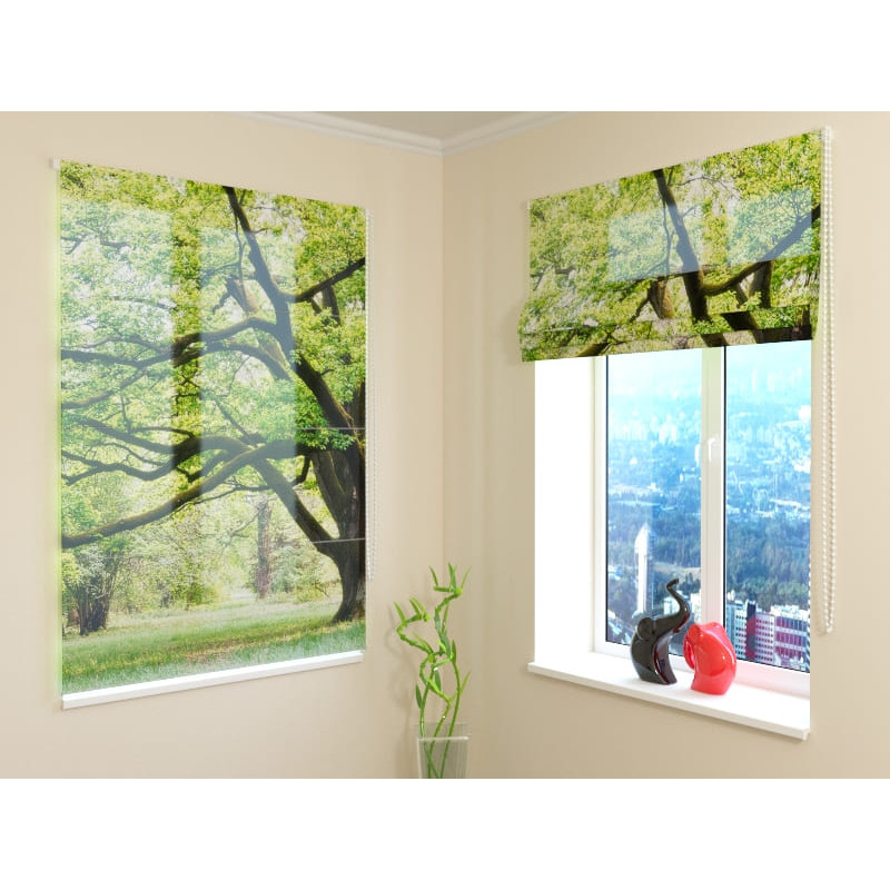 68,00 € Jaluză romană - cu copac verde - ARREDALACASA