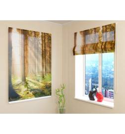 Roman blind - with trees in the woods