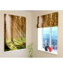 Roman blind - with trees in the woods - FIREPROOF