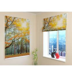 Roman blind - with trees in the park - BLACKOUT