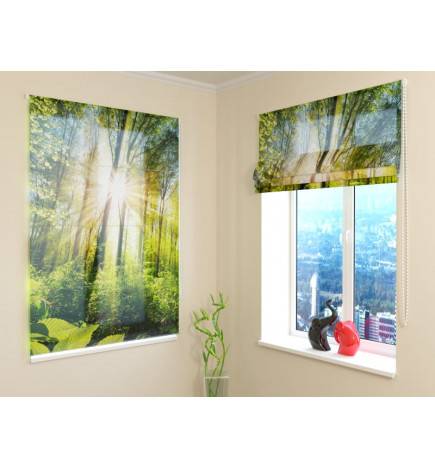Roman blind - with trees in the forest