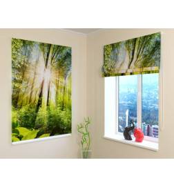 92,99 € Roman blind - with trees in the forest - FIRE RETARDANT