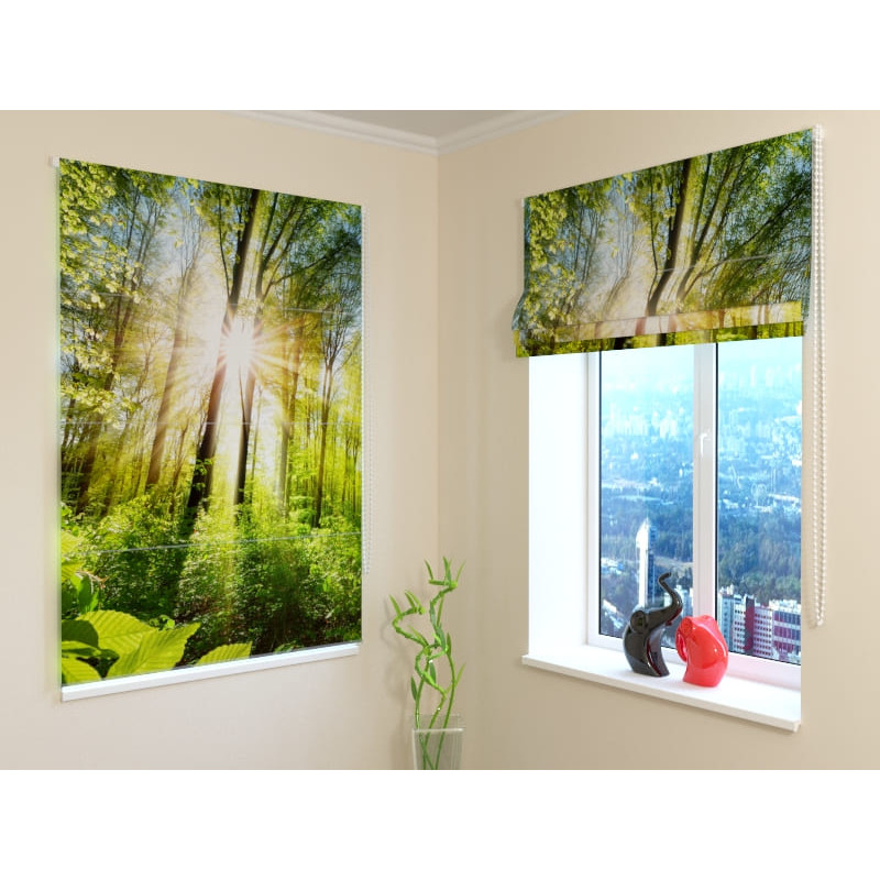 92,99 € Roman blind - with trees in the forest - FIRE RETARDANT