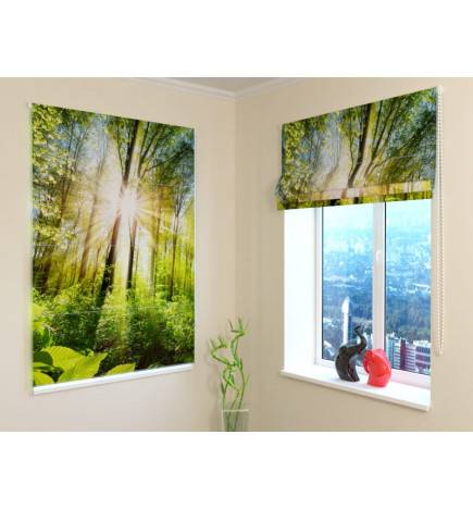 Roman blind - with trees in the forest - BLACKOUT