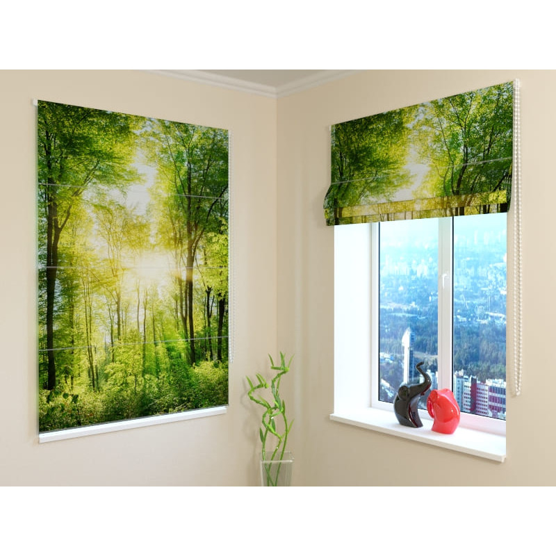 68,50 € Persiana romana - con bosque - BLACKOUT