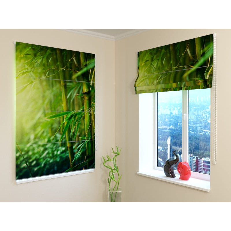 68,50 € Pakuotės užuolaidos - bambuko miške - DARING