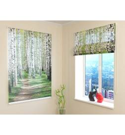 Roman blind - with birches in the woods