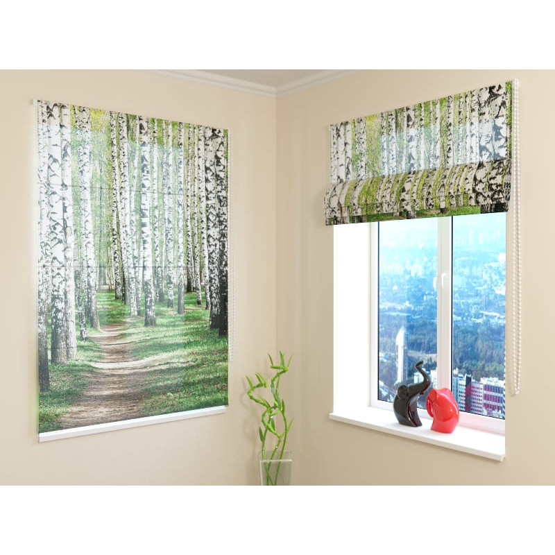 68,00 € Roman blind - with birches in the woods