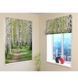 92,99 € Roman blind - with birch trees in the woods - FIREPROOF